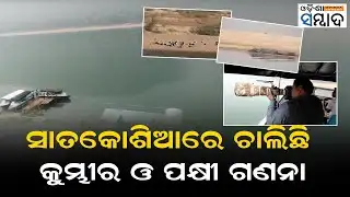 Bird And Crocodile Census Underway In Odisha