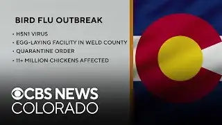 Bird flu outbreak confirmed in Weld County
