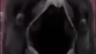 bird photobombs weather report (pure clikcbat 😳😳😳)