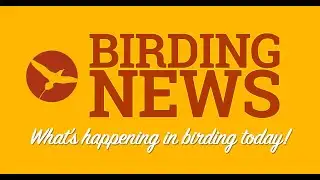 Birding News 2021