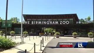 Birmingham Zoo makes changes to operations during Coronavirus pandemic
