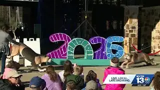 Birmingham Zoo rings in 2026 with 