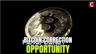 Bitcoin Correction, Metaplanet
