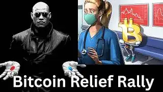 Bitcoin Risks Deeper Downside as Price Action Mirrors Past Bear Markets As Gold and Silver Bounce