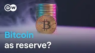Bitcoin vs. gold: The reserve shift | DW News
