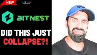 BitNest Collapses | Desperate node Ponzi reboots | According To BehindMLM