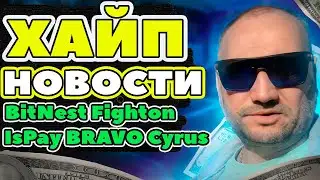 BitNest, IsPay, Fighton scam, Bravo start, Cyrus Finance review, Hype Projects