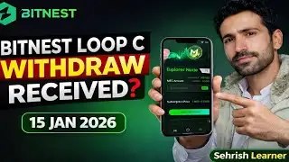 Bitnest Loop C Withdraw Received 15-01-2026 or Not | Node Update 