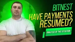 Bitnest: March 16 payouts — confirmed or delayed? Situation breakdown