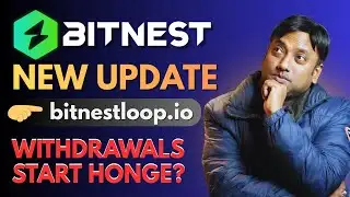 Bitnest New Update | bitnestloop.io kya hai? | Bitnest withdrawal update | Anant DeFi