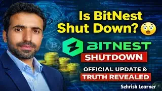 BitNest Shut Down? 😱 | Official Update & Truth Revealed