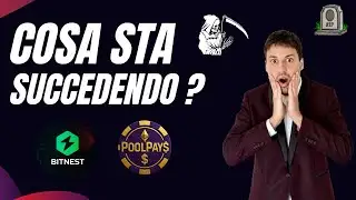 BITNEST TUTTO FINITO ? POOLPAYS NEWS E VERITà CRYPTO !