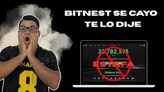 Bitnest went down and they took more than $250 million