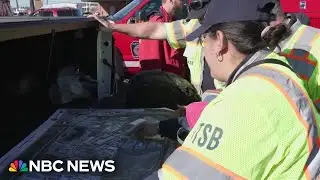 Black boxes from UPS cargo plane reveal alarm bell went off in cockpit before crash