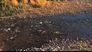 Blackfeet Tribe welcomes Zinke’s continued support for Two Medicine protection