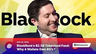 BlackRock’s $2.5B Tokenized Fund: Why 4 Wallets Own 80%? - BitGalactic News