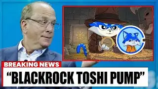 BlackRock’s Secret Move Could Send $TOSHI Parabolic 🚀