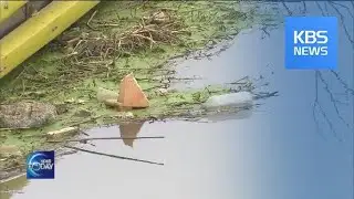 BLOCKAGE FACILITY PREVENTS LITTER SPREADING / KBS뉴스(News)