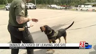 Bloodhound tracks down Hartselle escapee in under 90 minutes