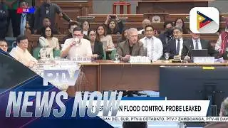 Blue Ribbon draft report on flood control probe leaked