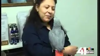 Blue Springs family gets new pet