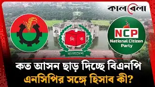 শরিকদের কত আসন ছাড় দিচ্ছে বিএনপি, এনসিপির সঙ্গে হিসাব কী? | BNP | NCP | BD Election | BD Politics