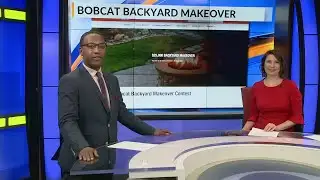 Bobcat Backyard Makeover