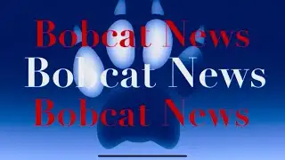 Bobcat News 1