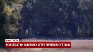 Body found burned beyond recognition in Albany