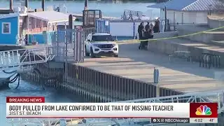 Body of missing Chicago teacher pulled from Lake Michigan