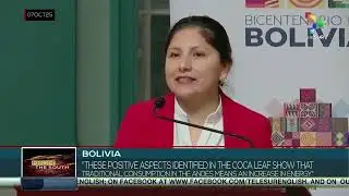 Bolivia | The country moves forward in legalizing the coca leaf