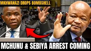 BOMBSHELL DROPS! Mkhwanazi Implicates Mchunu & Sibiya – Arrests Pending? 🚨