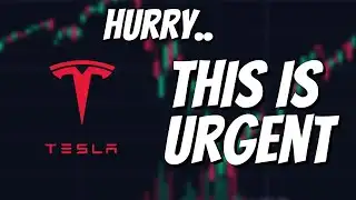 BOMBSHELL NEWS.. Something is Changing QUICKLY. (Tesla Breaking News)