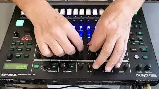 BOMBSHELL NEWS (WITH PROOF): TR-8S IS A 11 TRACK MONOPHONIC SYNTH !