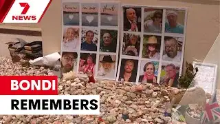 Bondi marks one month since traumatic terror attack | 7NEWS