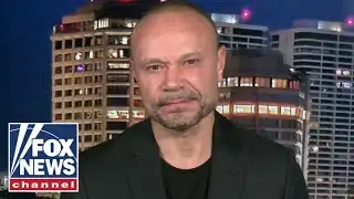 Bongino: WHO does PR for these people?