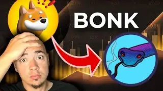 BONK COIN NEWS! IS SNEK COIN NEXT? (Breaking Down Meme Coins)