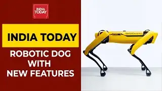Boston Dynamics Introduces Robotic Dogs With New Features In It | India Today