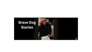 Brave Dogs - Here Was the News