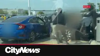 Brazen attempted kidnapping in Vaughan Mills parking lot