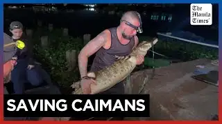 Brazilian biologists work to save Rio