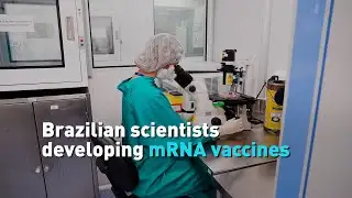 Brazilian scientists developing mRNA vaccines