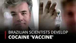 Brazilian Scientists Developing 