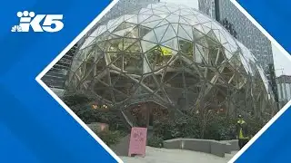 BREAKING: Amazon Web Services reports major outage overnight