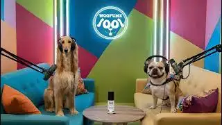 Breaking Barking News