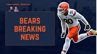 Breaking Bears News