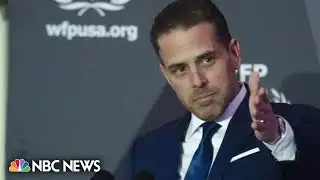 Breaking down the charges against Hunter Biden