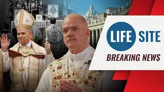 BREAKING | Everything you NEED TO KNOW about the SSPX Bishops