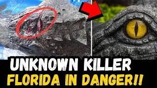 🚨 BREAKING: NEW Apex Predator THREATENS Florida ALLIGATORS!!