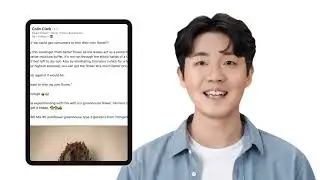 Breaking News   Cannabis Leaves untrimmed